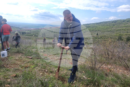 Стара Загора - залесяване