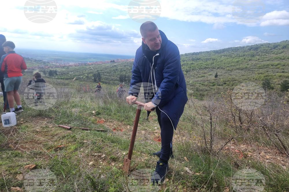 Стара Загора - залесяване
