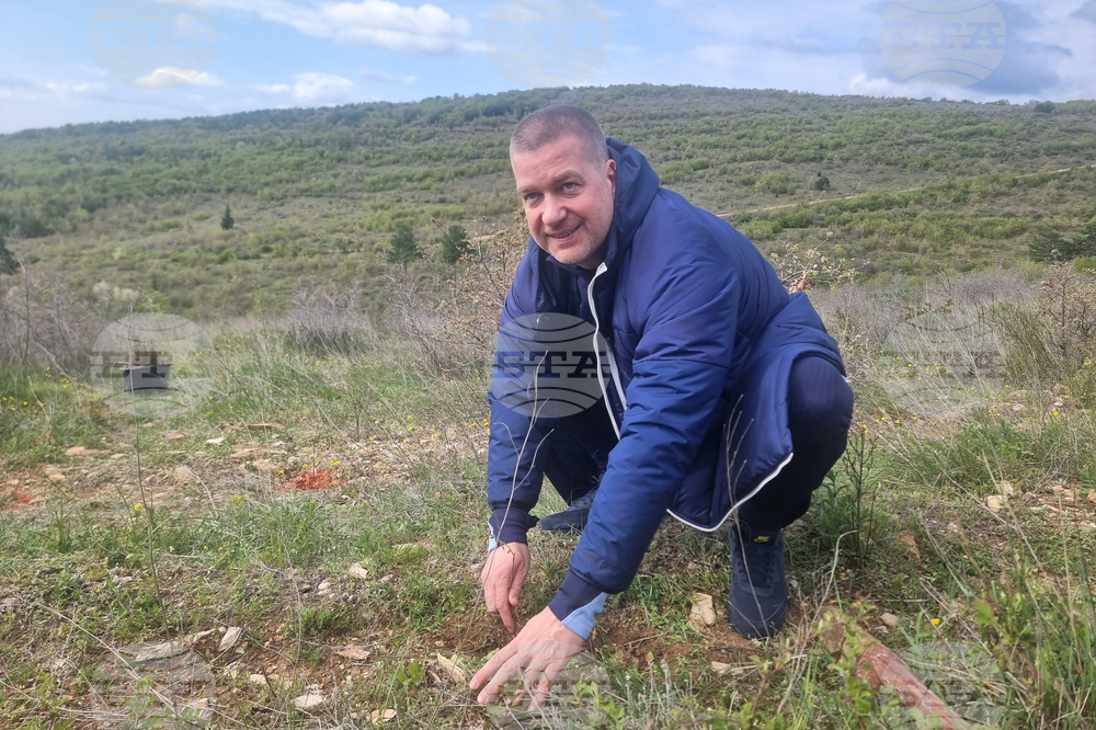 Стара Загора - залесяване