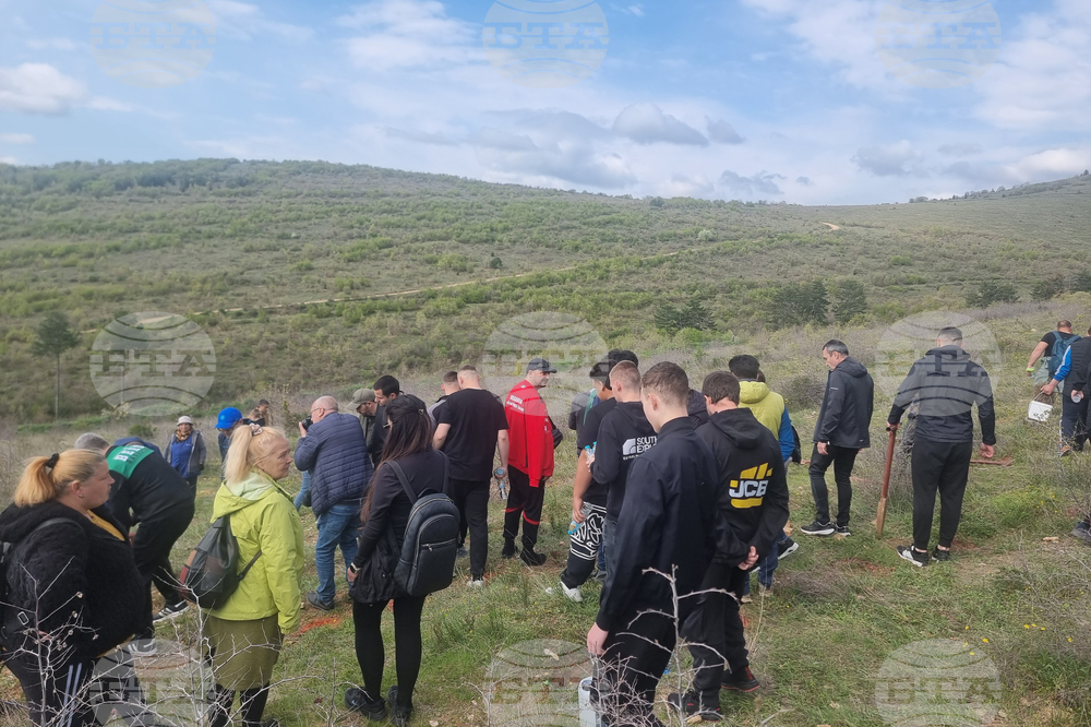 Стара Загора - залесяване