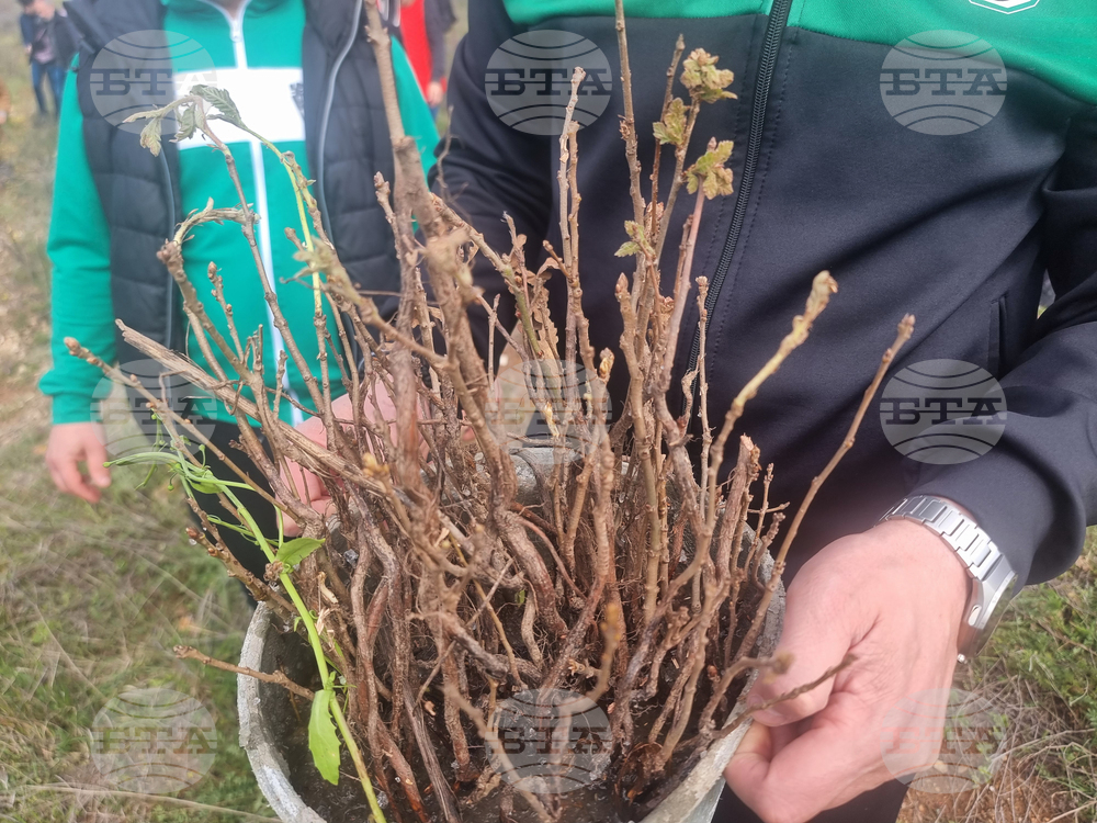 Стара Загора - залесяване