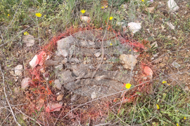 Стара Загора - залесяване