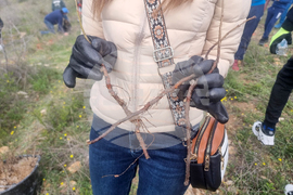 Стара Загора - залесяване