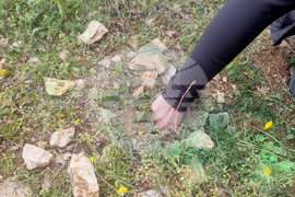 Стара Загора - залесяване