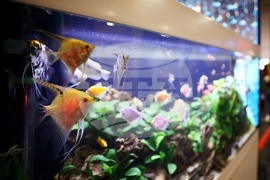 Интер експо център - SOFIA ZOO EXPO 2026