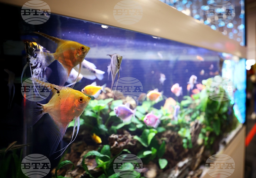 Интер експо център - SOFIA ZOO EXPO 2026