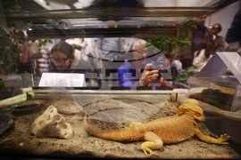 Интер експо център - SOFIA ZOO EXPO 2026