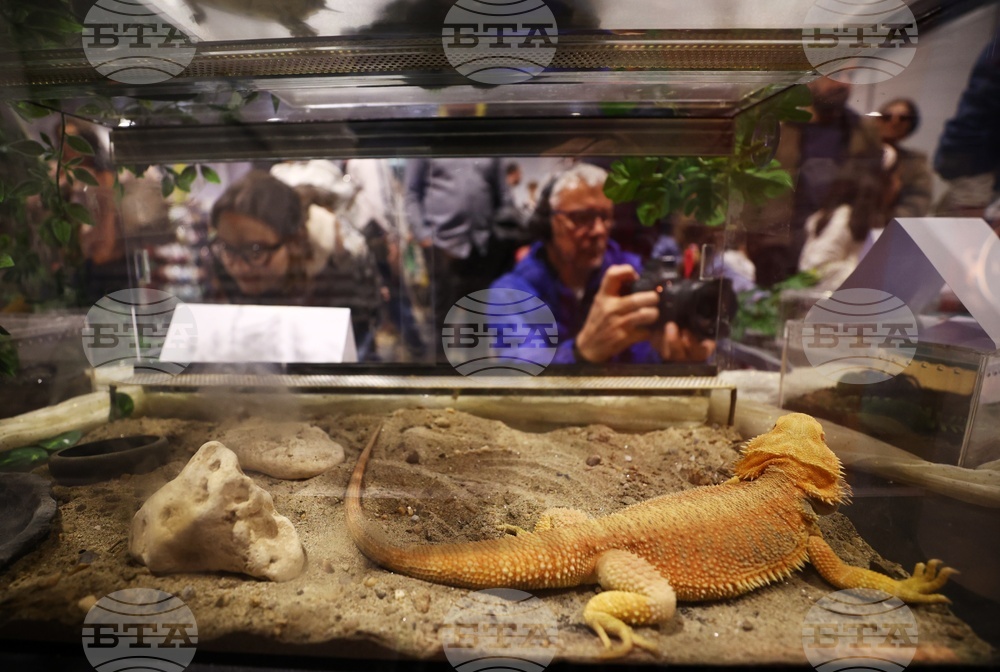 Интер експо център - SOFIA ZOO EXPO 2026