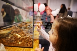 Интер експо център - SOFIA ZOO EXPO 2026