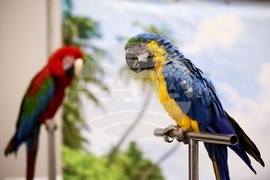 Интер експо център - SOFIA ZOO EXPO 2026