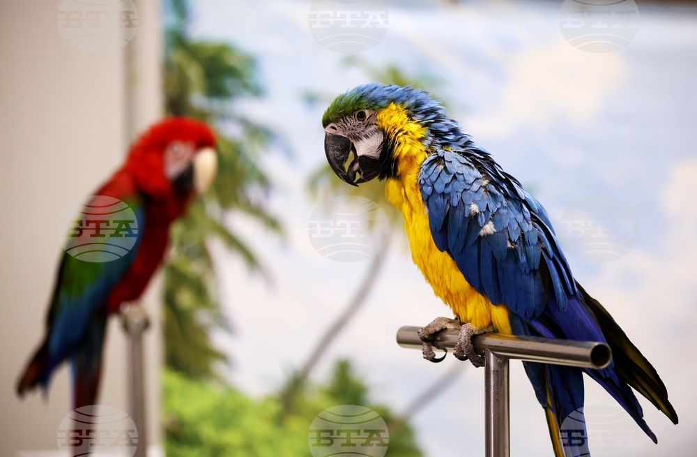 Интер експо център - SOFIA ZOO EXPO 2026