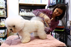 Интер експо център - SOFIA ZOO EXPO 2026