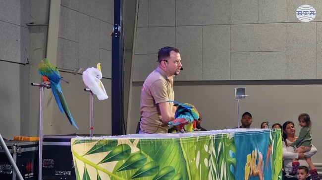 Шоу с папагали беше сред атракциите на SOFIA ZOO EXPO 2026 в София