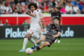 Germany Bundesliga Soccer
