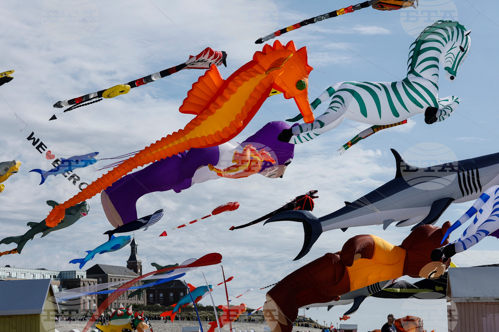 France Kite Festival