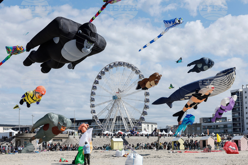 France Kite Festival