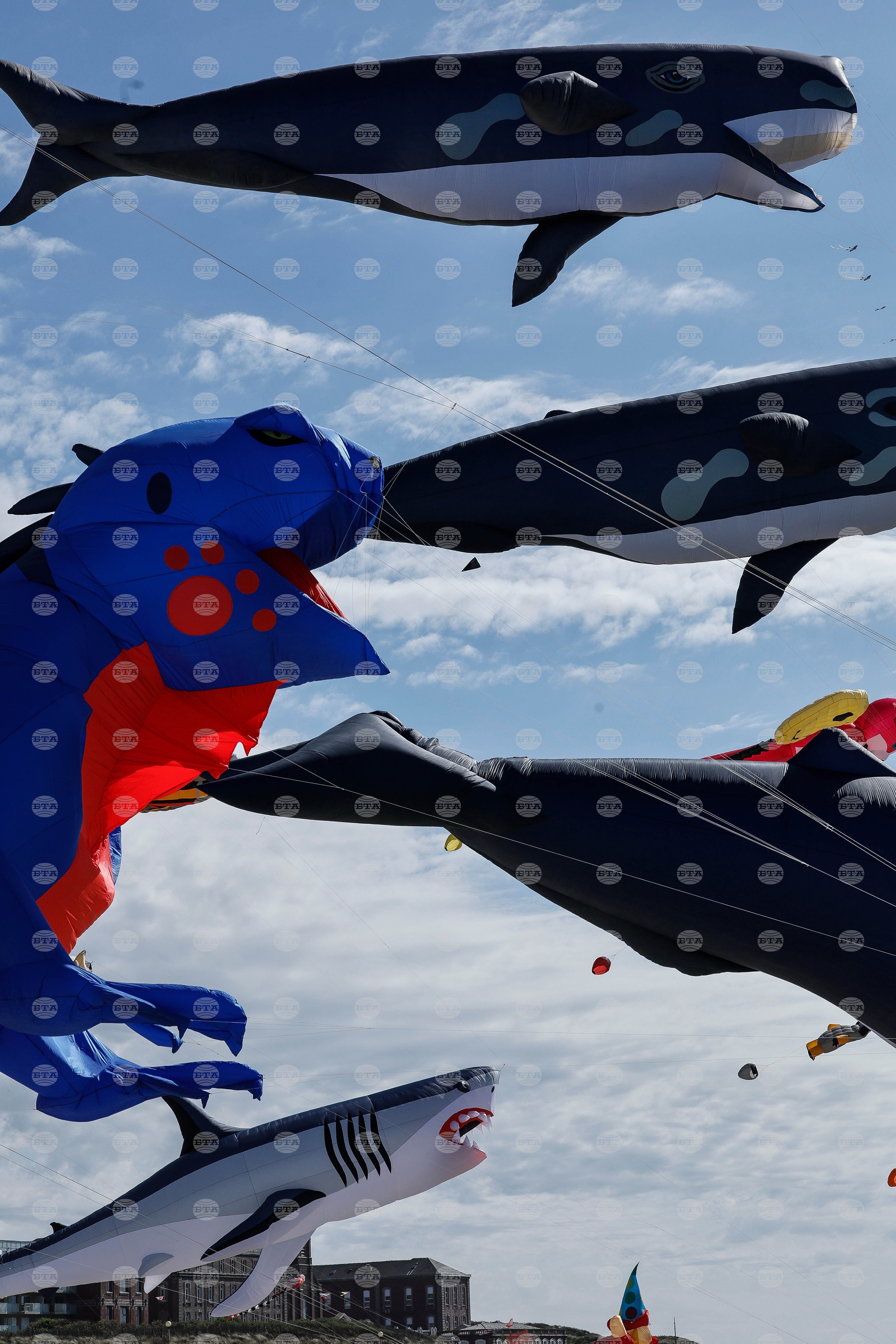 France Kite Festival