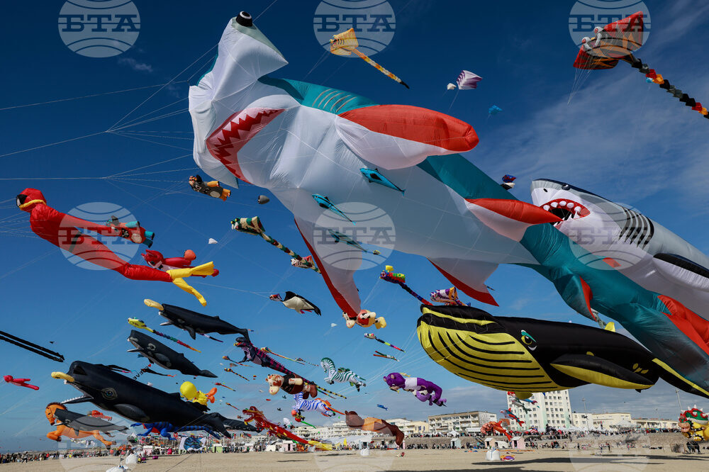 France Kite Festival