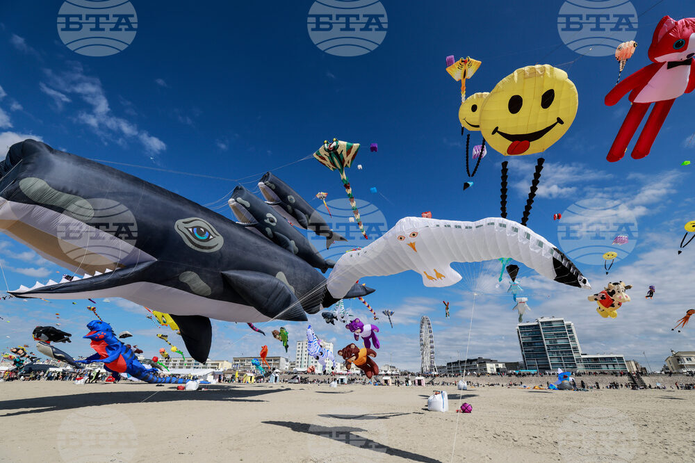France Kite Festival