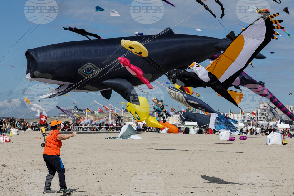 France Kite Festival
