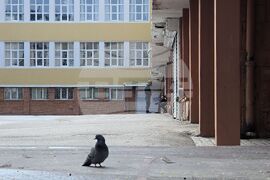 Полиция - избори - охрана 