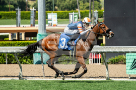 Santa Anita Horse Racing