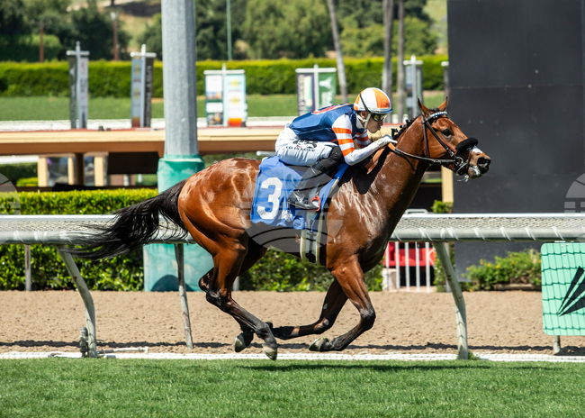 Santa Anita Horse Racing