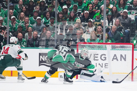 Wild Stars Hockey