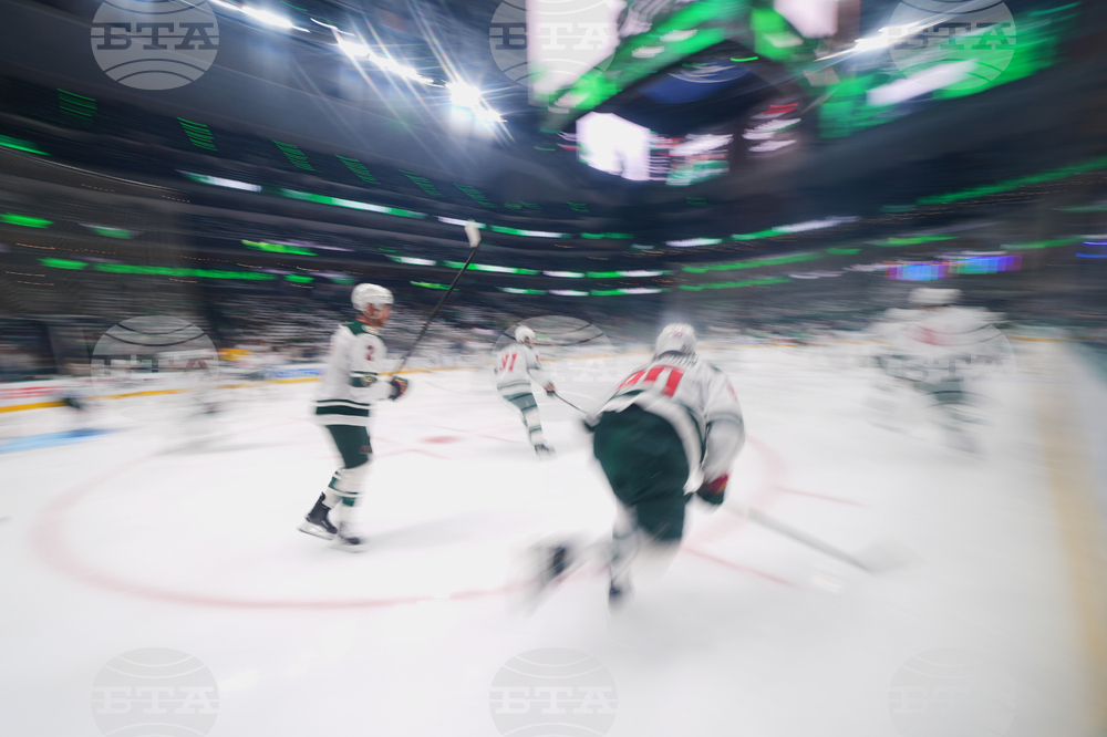 Wild Stars Hockey