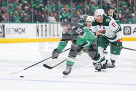 Wild Stars Hockey