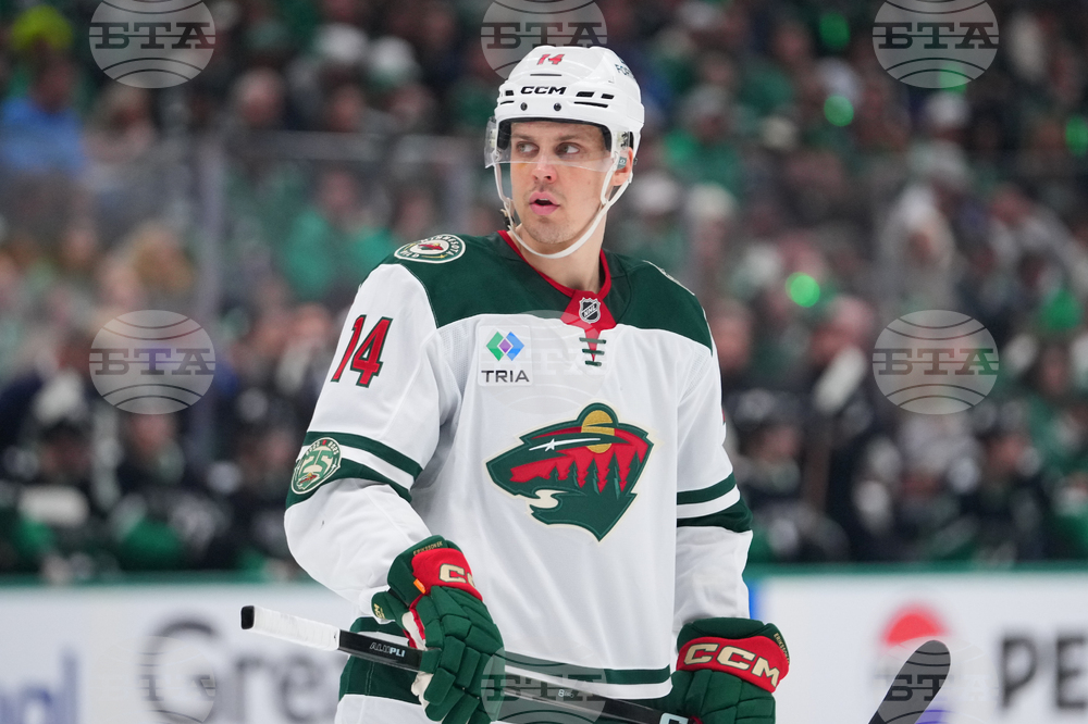 Wild Stars Hockey