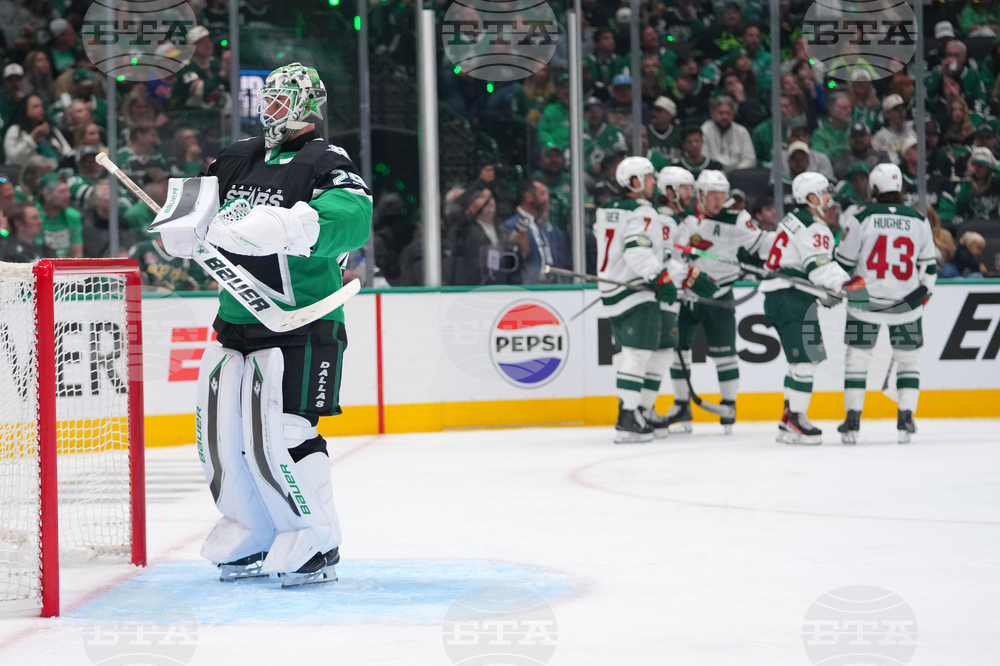 Wild Stars Hockey