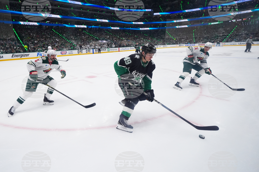 Wild Stars Hockey