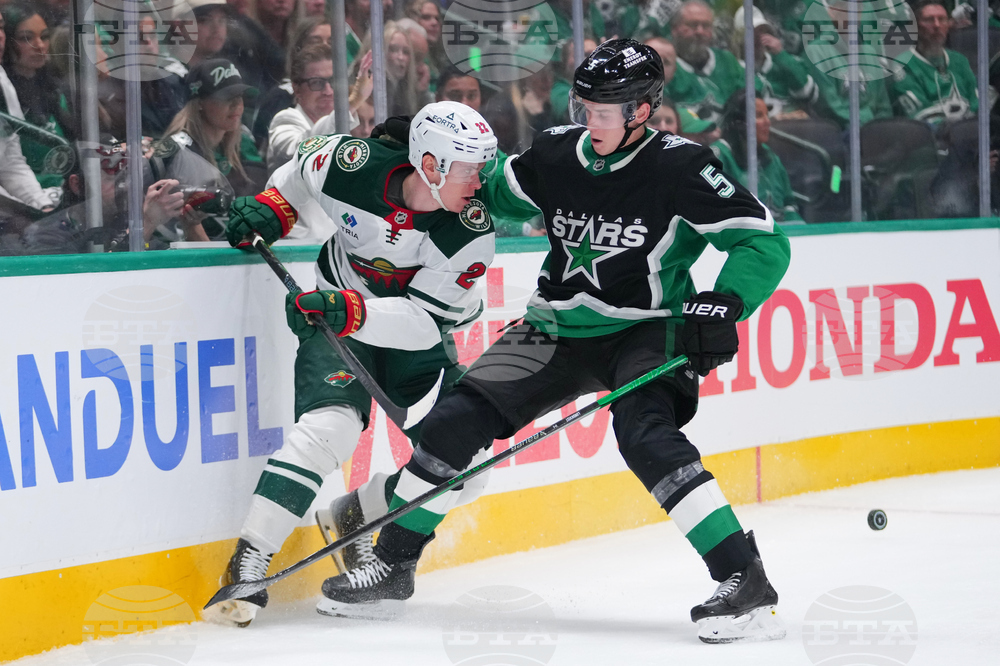 Wild Stars Hockey