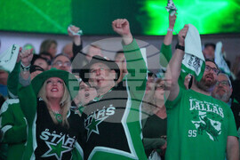 Wild Stars Hockey