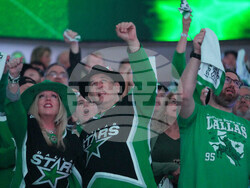 Wild Stars Hockey