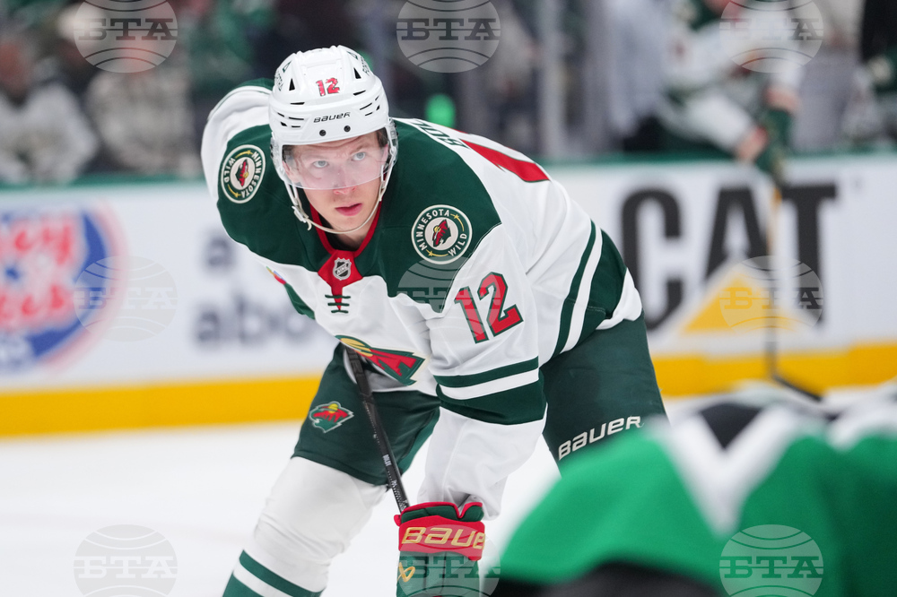 Wild Stars Hockey