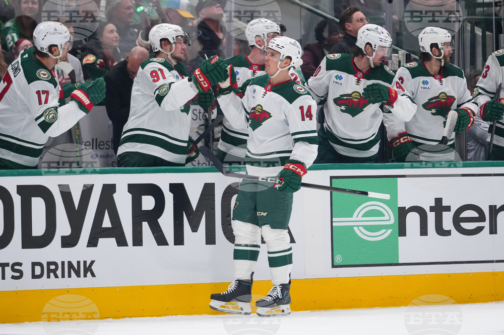 Wild Stars Hockey