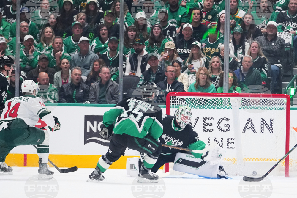 Wild Stars Hockey