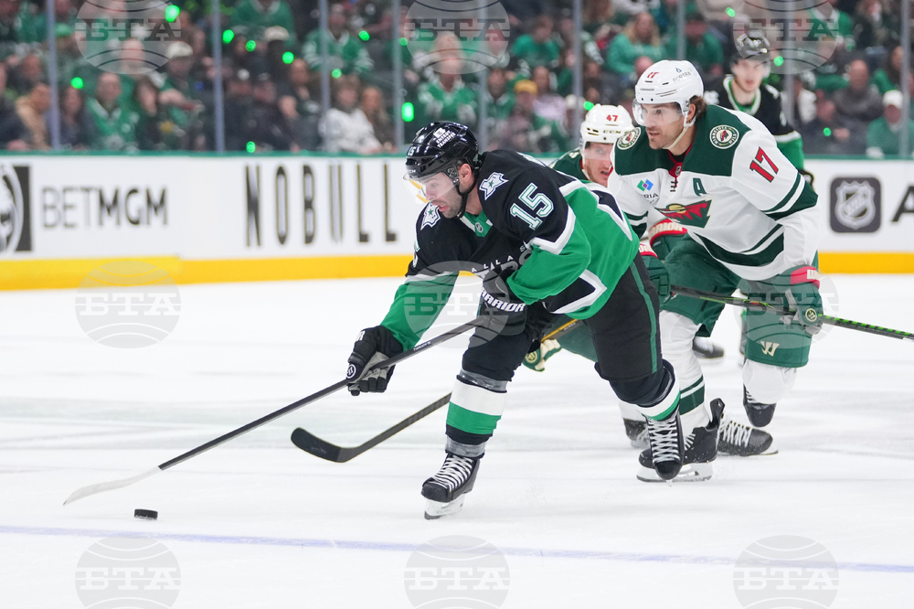 Wild Stars Hockey