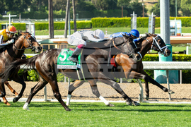 Santa Anita Horse Racing