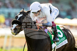 Santa Anita Horse Racing