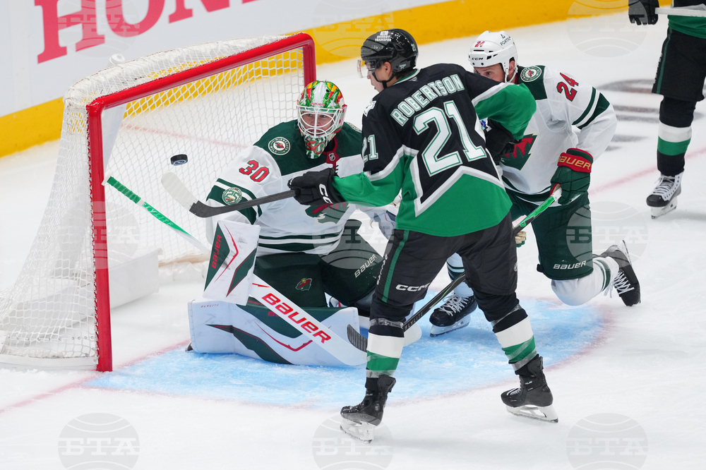 Wild Stars Hockey