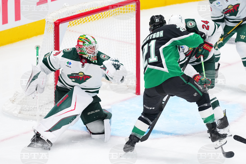 Wild Stars Hockey