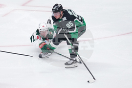 Wild Stars Hockey