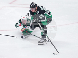Wild Stars Hockey
