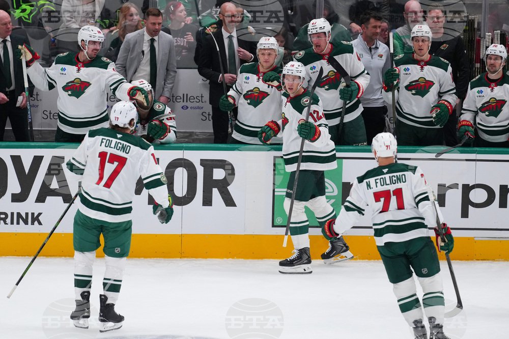 Wild Stars Hockey
