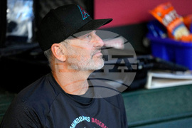 Blue Jays Diamondbacks Baseball