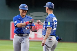 Blue Jays Diamondbacks Baseball