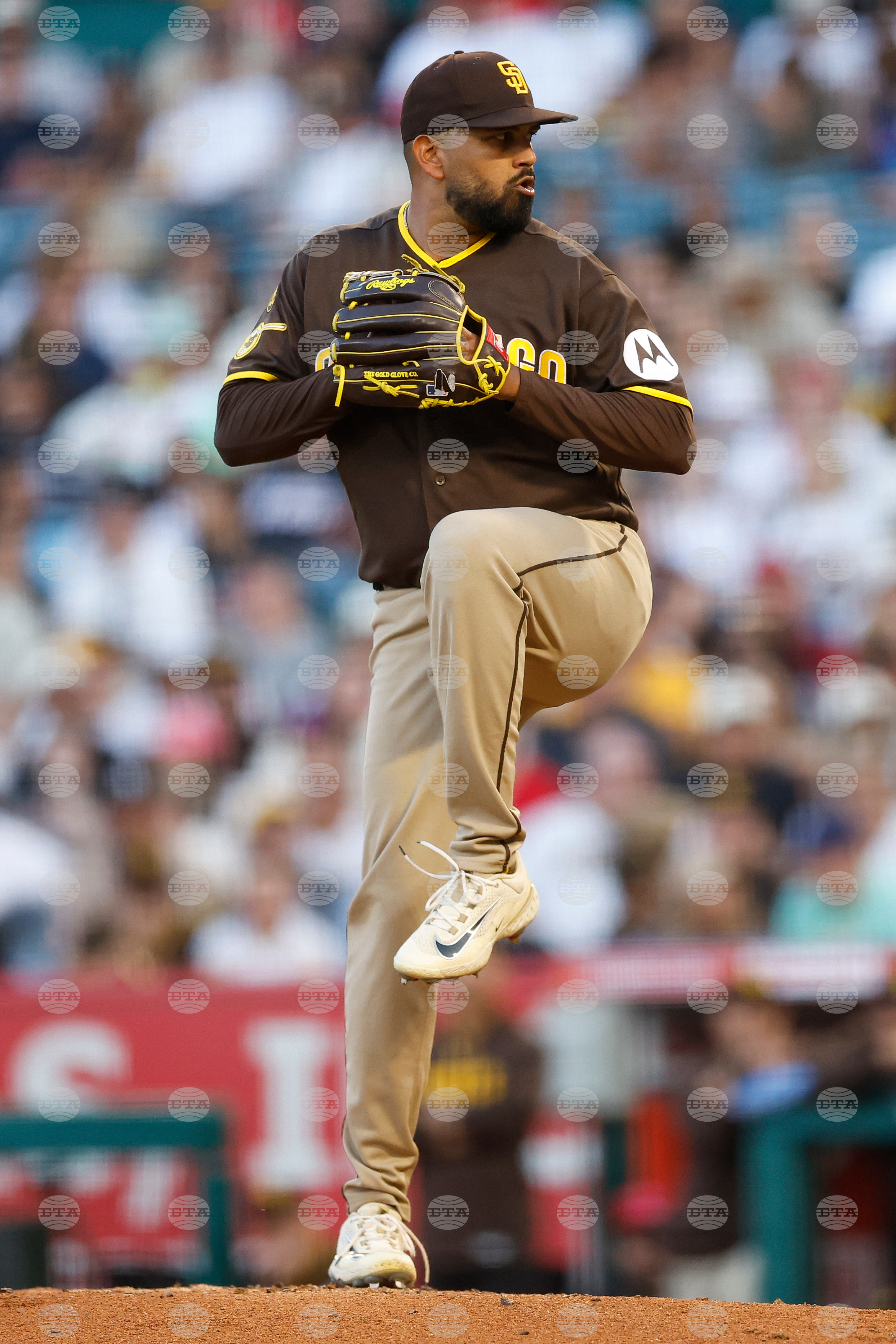 Padres Angels Baseball